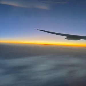 Meet your Posher, Tasha